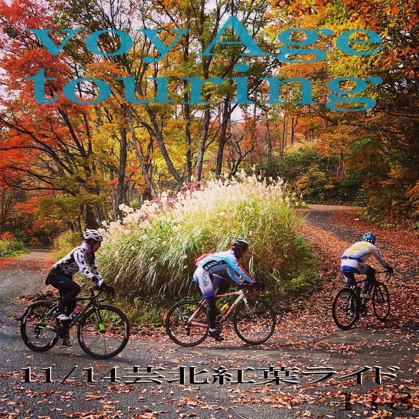 11月14日(月)「voyAge touring \'月曜芸北紅葉ライド\' 118」_c0351373_1116728.jpg