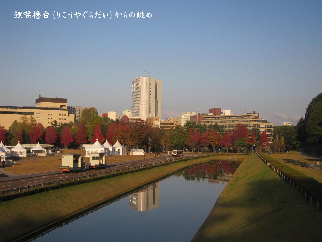 暦の上では冬♪　紅葉も一気に進んで☆_a0207574_2023136.jpg