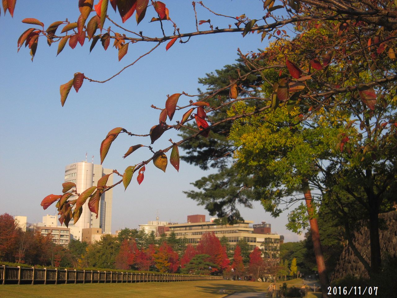 暦の上では冬♪　紅葉も一気に進んで☆_a0207574_2024921.jpg