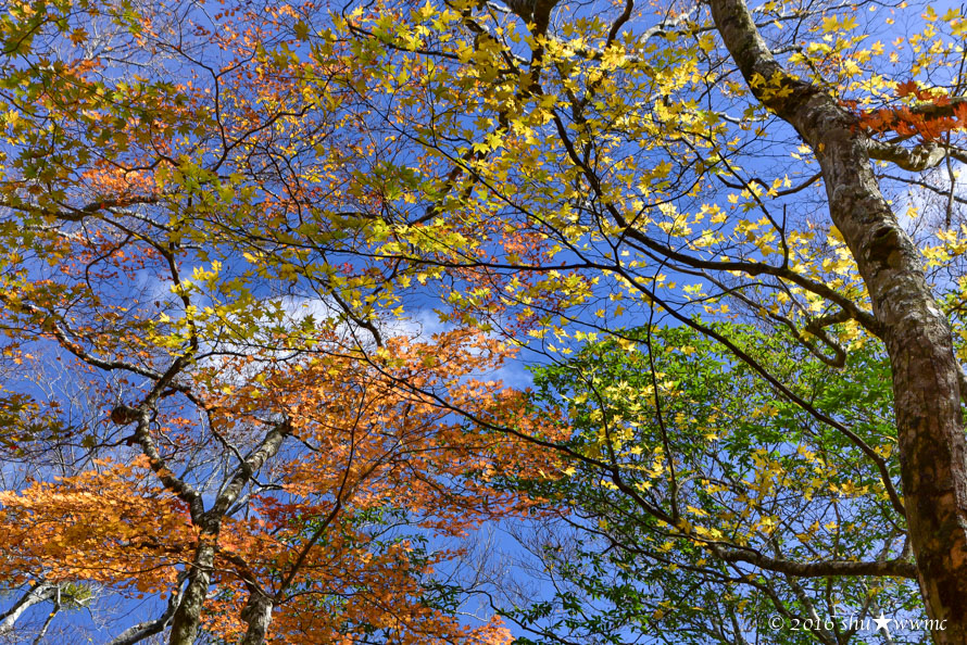 a0142976_16334470.jpg