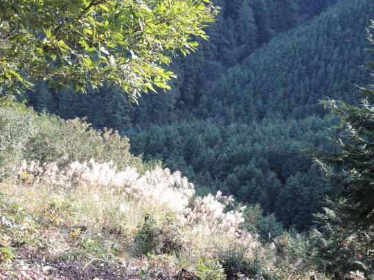 e0232277_11040139.jpg