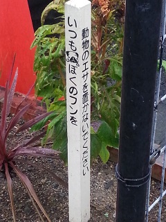 f0228680_1131520.jpg
