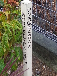 f0228680_1133480.jpg