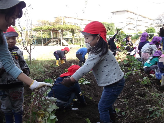 続2*お芋掘り_f0334882_10273384.jpg