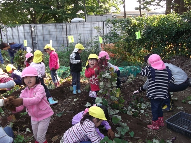続2*お芋掘り_f0334882_10301079.jpg