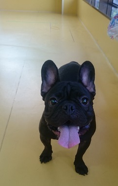 べーー!!_f0357682_20221260.jpg