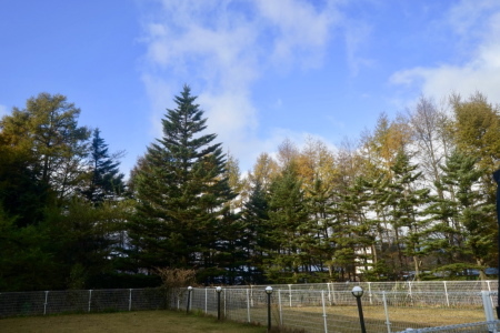 a0198883_15401850.jpg