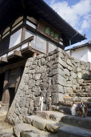 a0198883_15413426.jpg