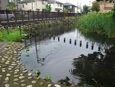 b0123486_11401479.jpg