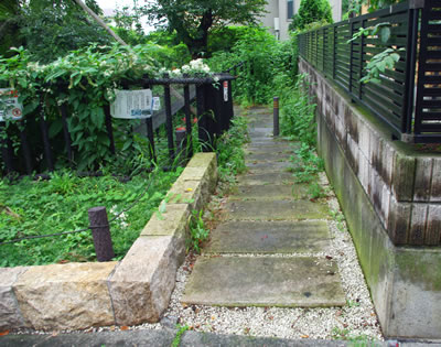 b0123486_1348532.jpg