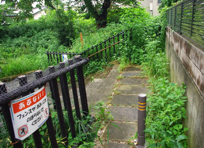 b0123486_13583590.jpg