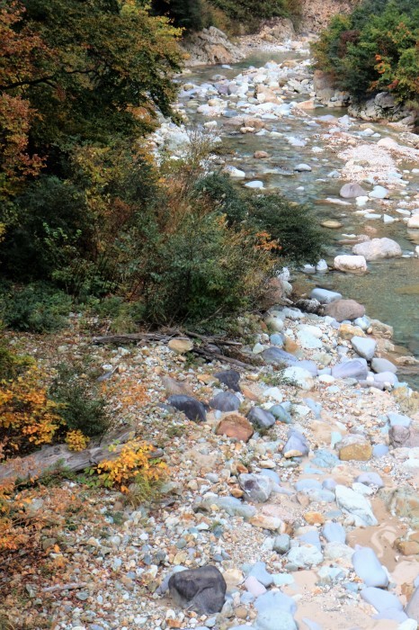 e0305388_23133651.jpg