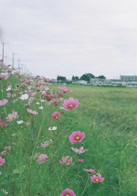 d0021491_18195561.jpg