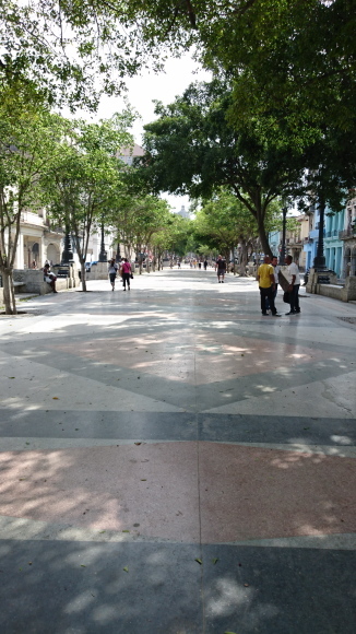 b0194195_21133074.jpg