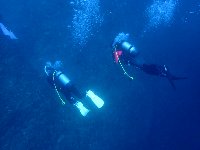 11月5日(土)6日(日)串本TOUR&講習★_f0079996_1831144.jpg