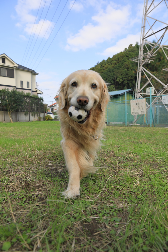 分かりやすいね♪_b0275998_10534675.jpg