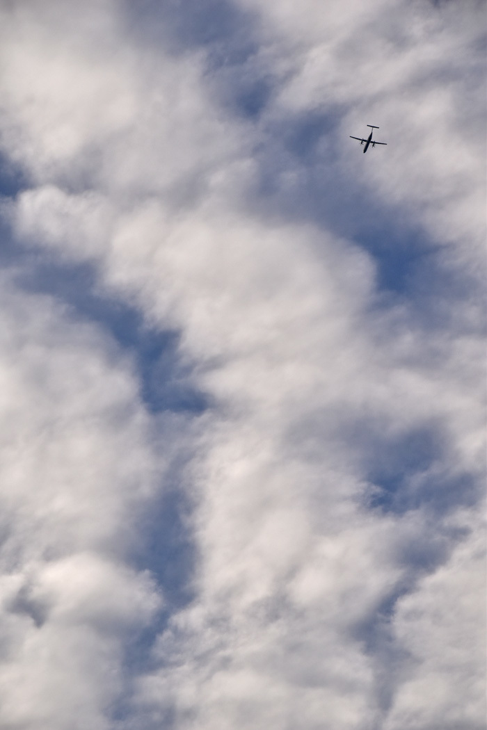c0049299_22194360.jpg
