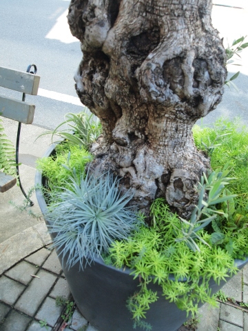 秋のお出かけ･･････愛知２_b0331802_22183233.jpg