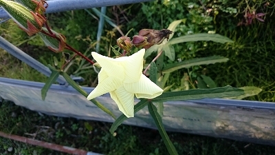 c0163102_21233522.jpg