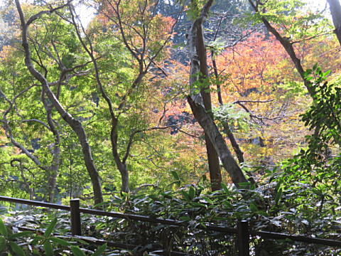 d0046702_1436338.jpg