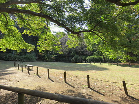 d0046702_14371087.jpg
