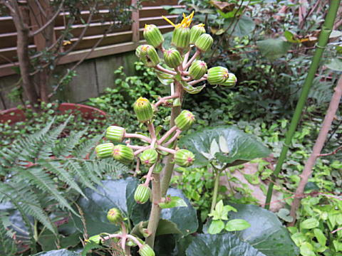 d0046702_14441336.jpg