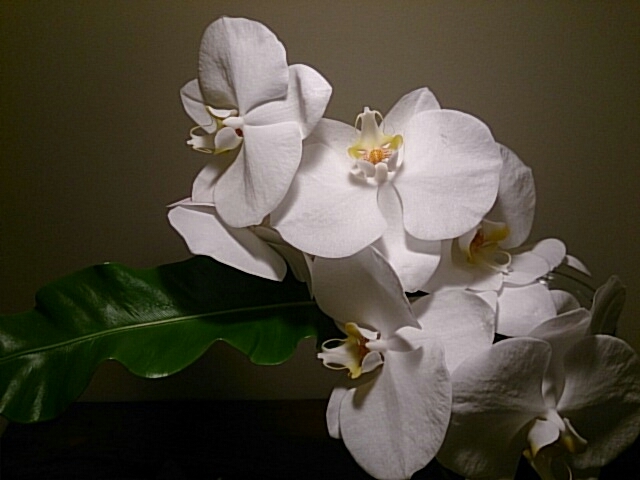 a0216805_06495038.jpg