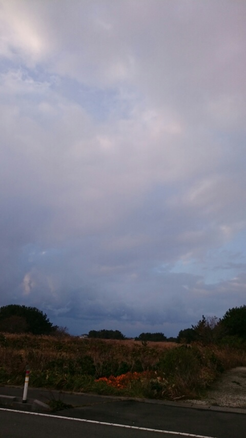 d0149105_752499.jpg