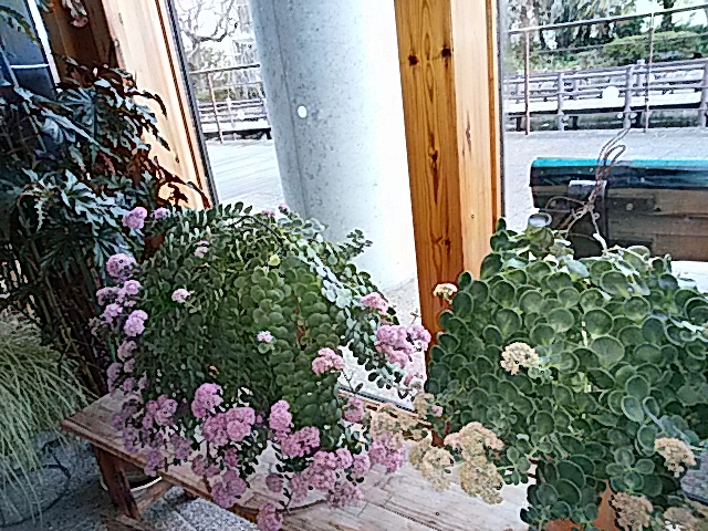f0231709_2041749.jpg