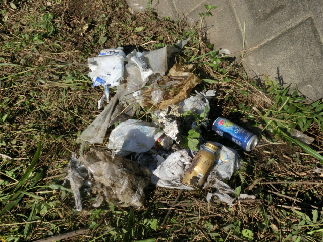 働いた後は皆で飲んで、食べて、これからの話を! 小潤井川の草刈り清掃in津田・荒田島_f0141310_6292994.jpg