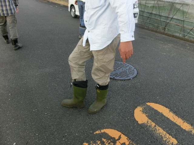 働いた後は皆で飲んで、食べて、これからの話を! 小潤井川の草刈り清掃in津田・荒田島_f0141310_6295872.jpg