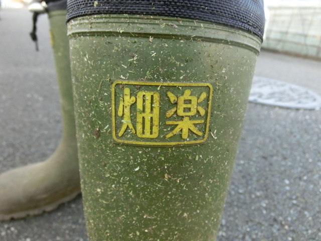 働いた後は皆で飲んで、食べて、これからの話を! 小潤井川の草刈り清掃in津田・荒田島_f0141310_630827.jpg