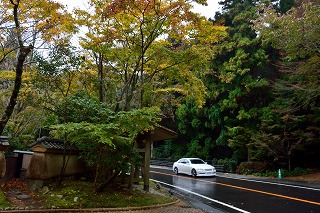 島原に　　１１月８日（火）_f0083611_15235352.jpg