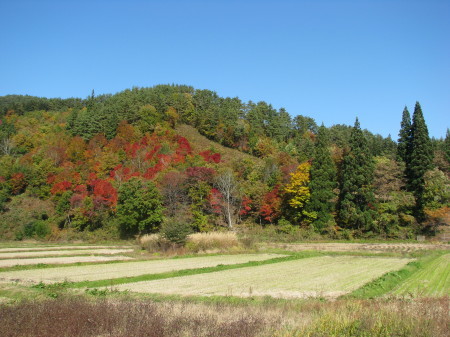 2016年11月9日　　　新潟～山形～福島～栃木への旅　②_a0109912_22320310.jpg