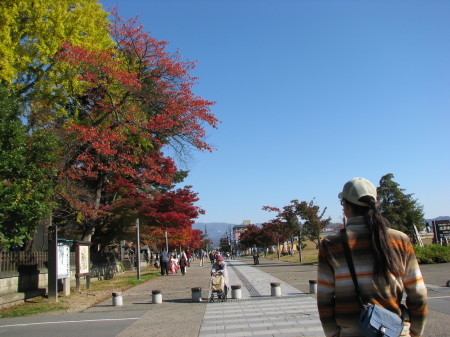 2016年11月9日　　　新潟～山形～福島～栃木への旅　②_a0109912_22424958.jpg