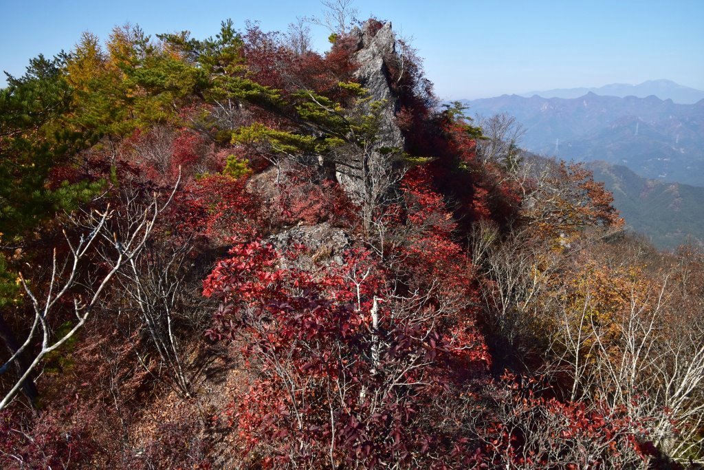 2016/11//7 シラケ山～烏帽子岳_a0340812_13451175.jpg