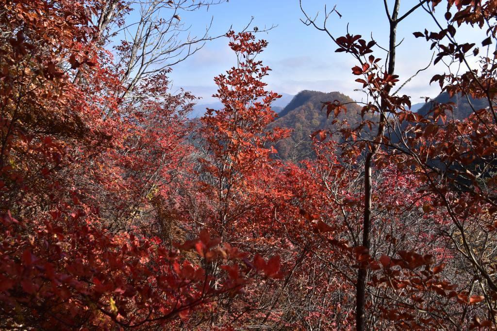 2016/11//7 シラケ山～烏帽子岳_a0340812_13502142.jpg