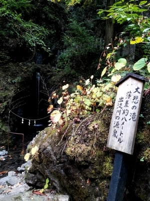 f0200114_10165260.jpg