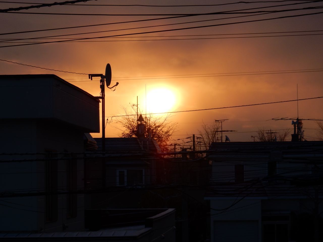 久しぶりに見た朝の太陽_c0025115_20180549.jpg