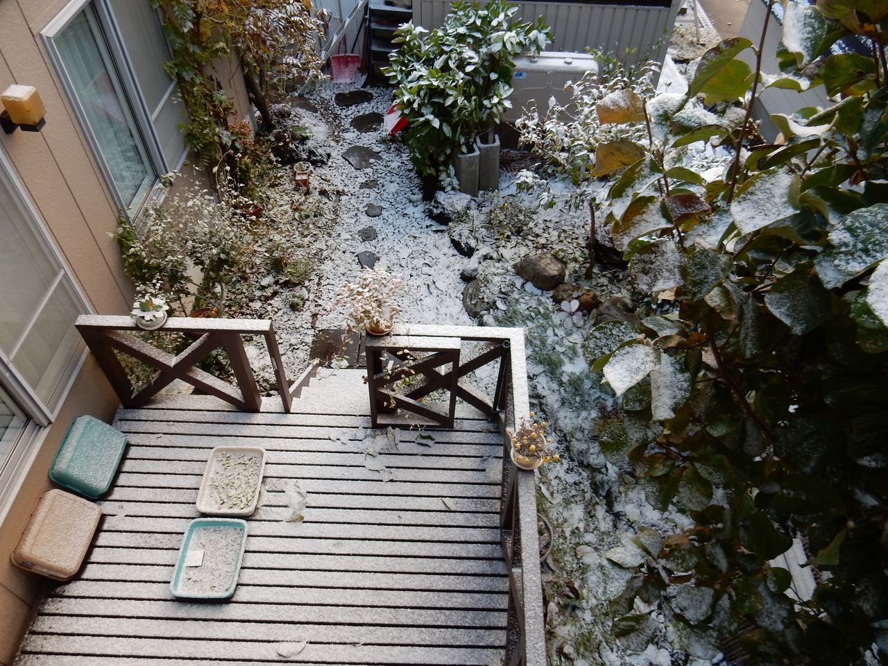 久しぶりに見た朝の太陽_c0025115_20181799.jpg