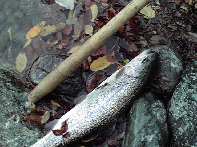 f0079218_935773.jpg