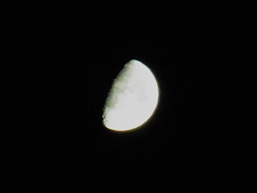 a0214919_21251337.jpg