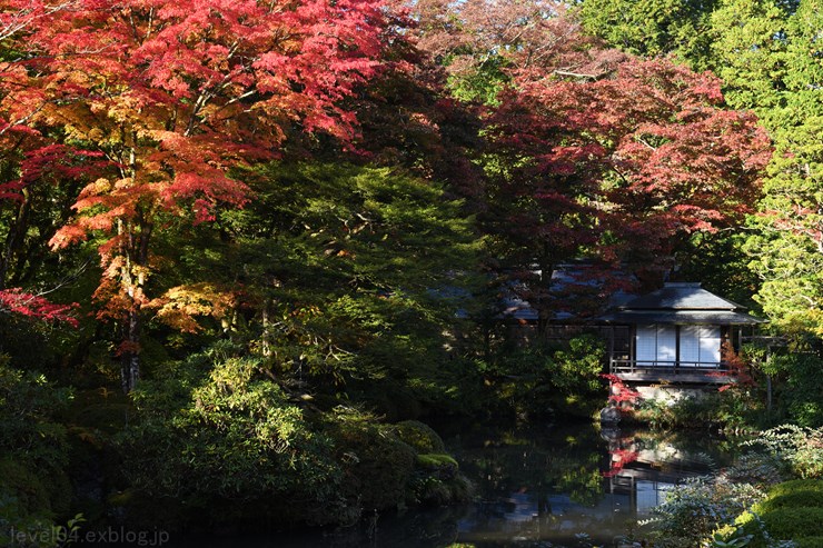 日光 輪王寺 逍遥園 ～紅葉～ 1_d0319222_10463684.jpg