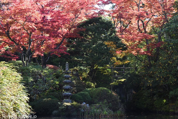 日光 輪王寺 逍遥園 ～紅葉～ 1_d0319222_10464276.jpg