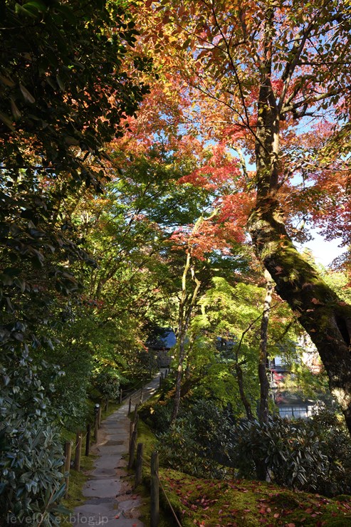 日光 輪王寺 逍遥園 ～紅葉～ 1_d0319222_10464677.jpg