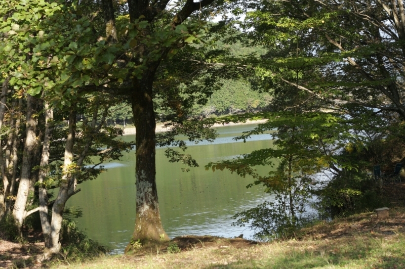 e0280023_13155598.jpg