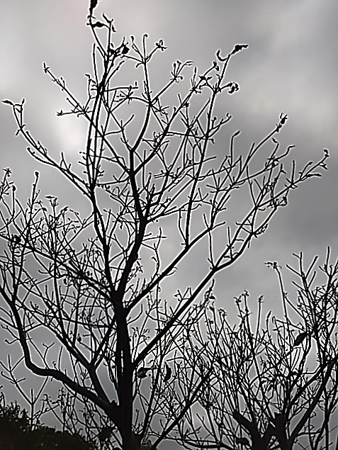 f0354923_12412789.jpg