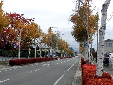 e0234924_14271057.jpg