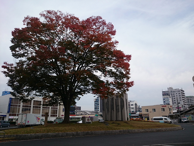 a0222229_1241255.jpg