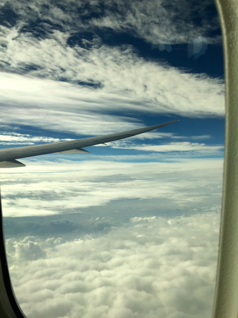 d0013834_01103501.jpg